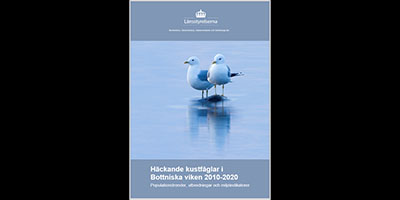 bild på framsidan av rapporten Häckande kustfåglar i Bottniska viken